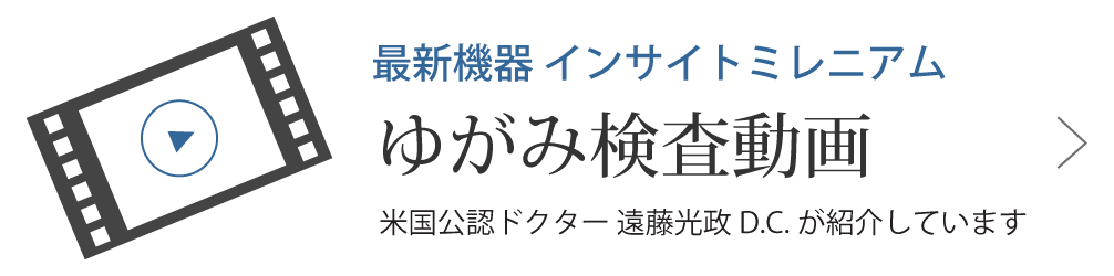 インサイト動画